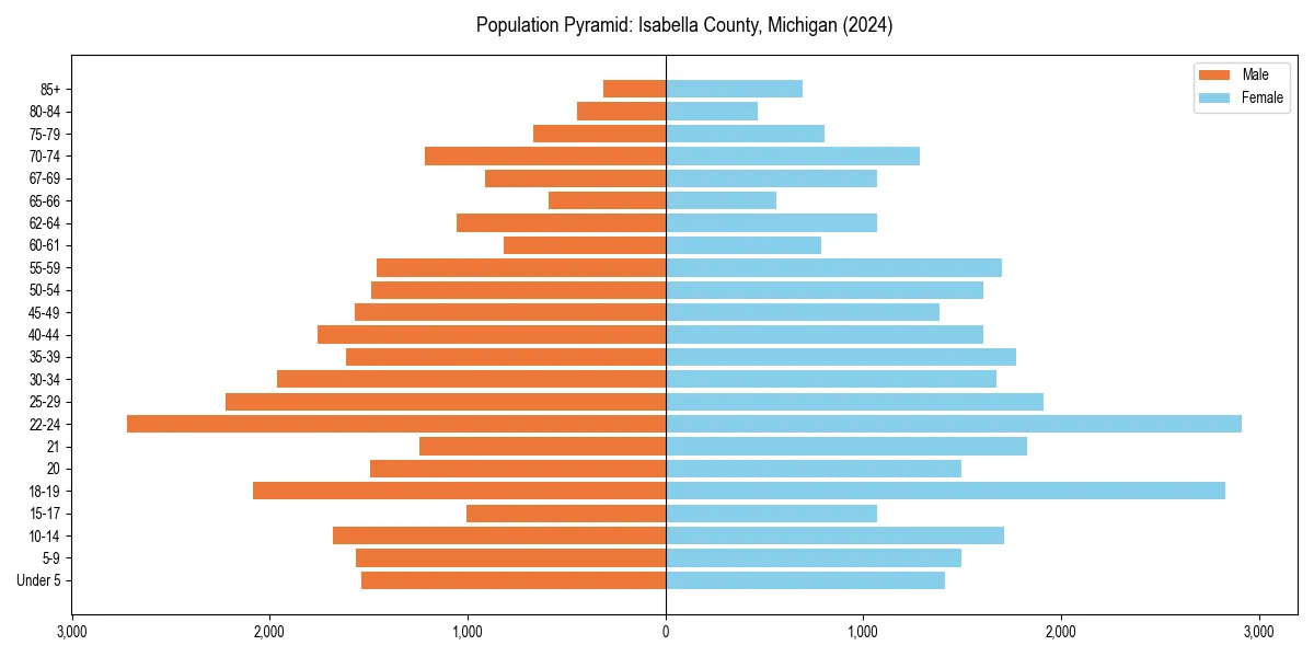 Population pyramid for 