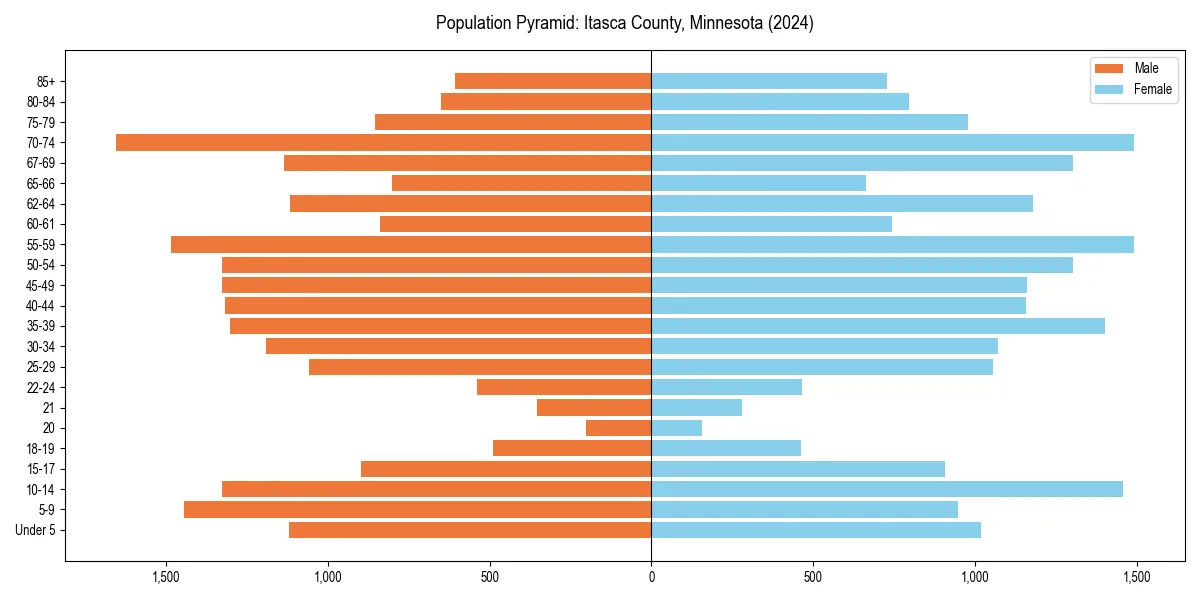Population pyramid for 