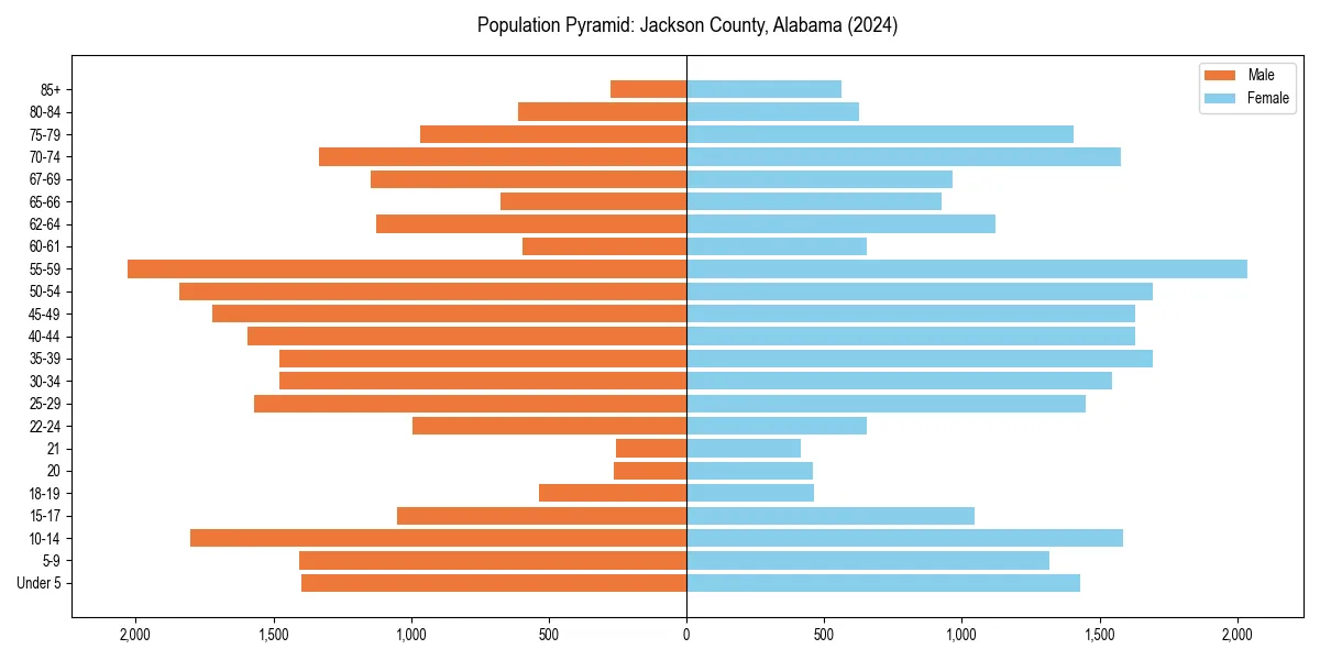 Population pyramid for 