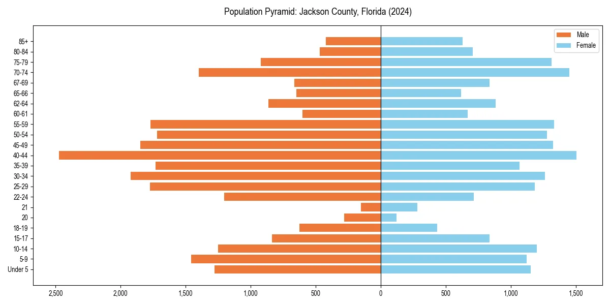 Population pyramid for 