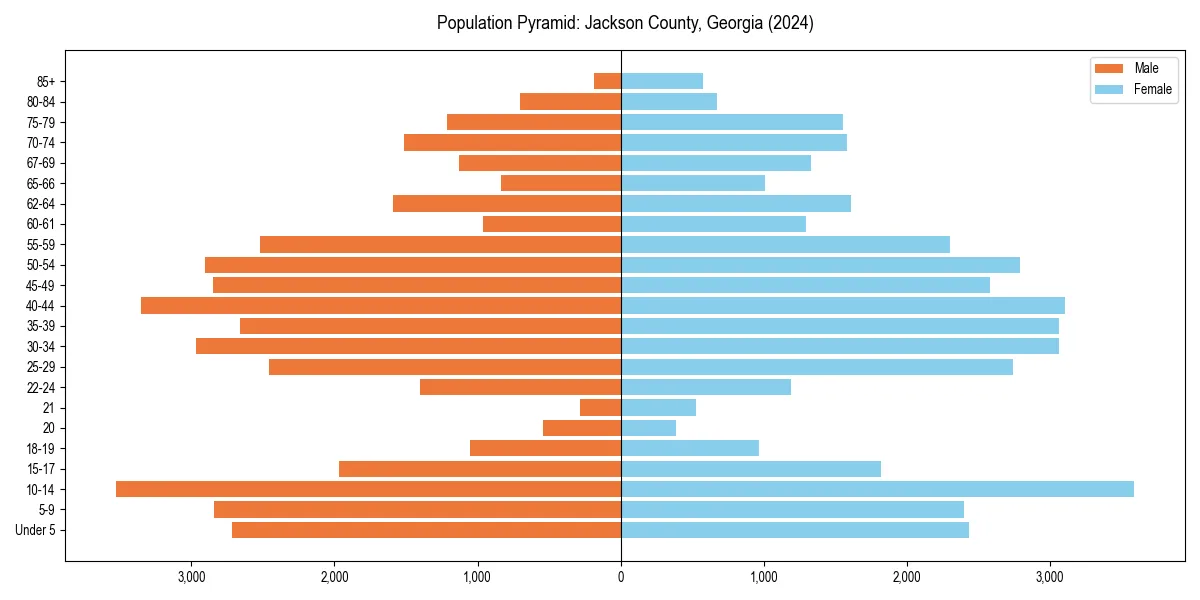 Population pyramid for 