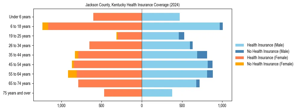Health insurance pyramid for Jackson County, Kentucky