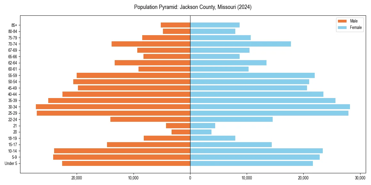 Population pyramid for 
