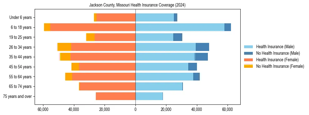 Health insurance pyramid for Jackson County, Missouri