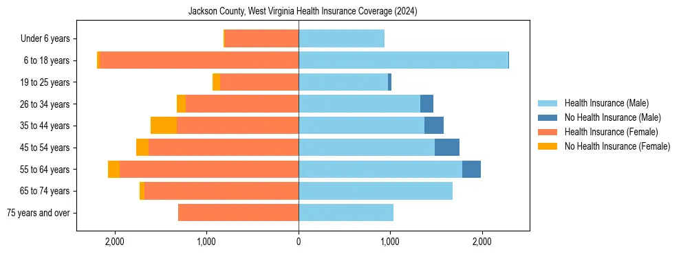 Health insurance pyramid for Jackson County, West Virginia
