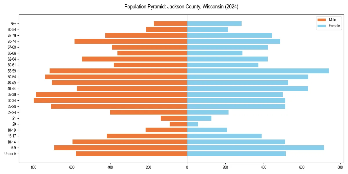 Population pyramid for 