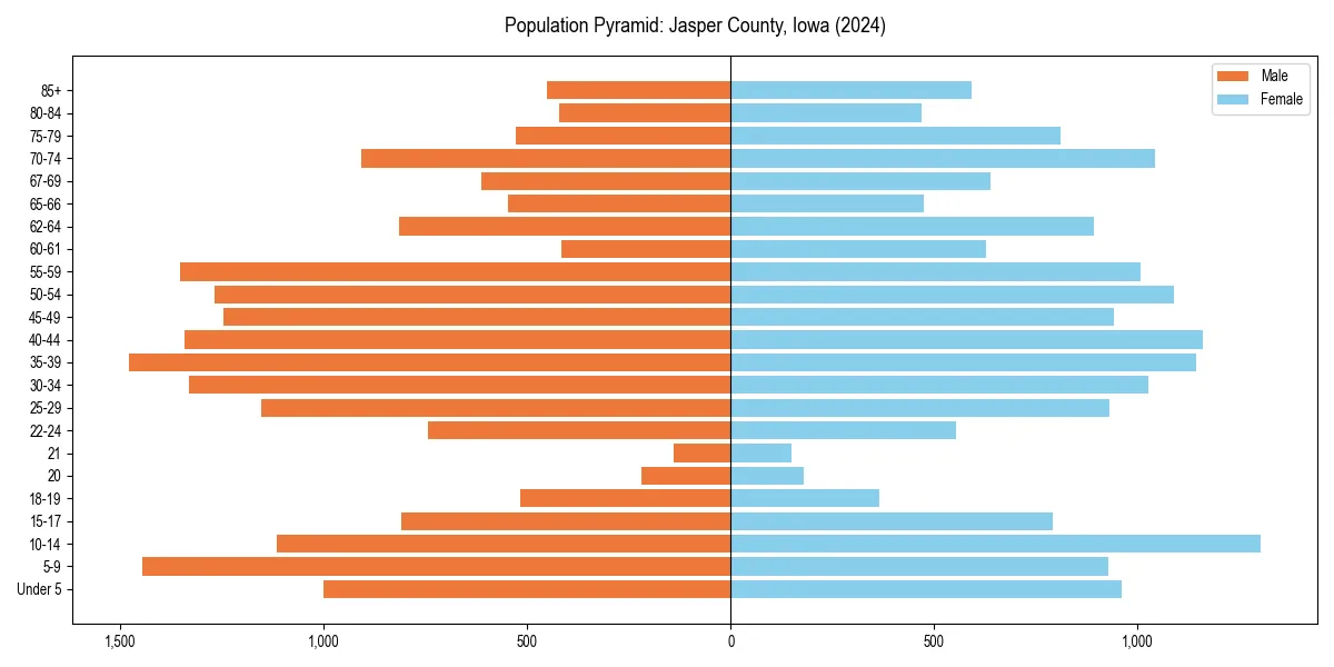 Population pyramid for 
