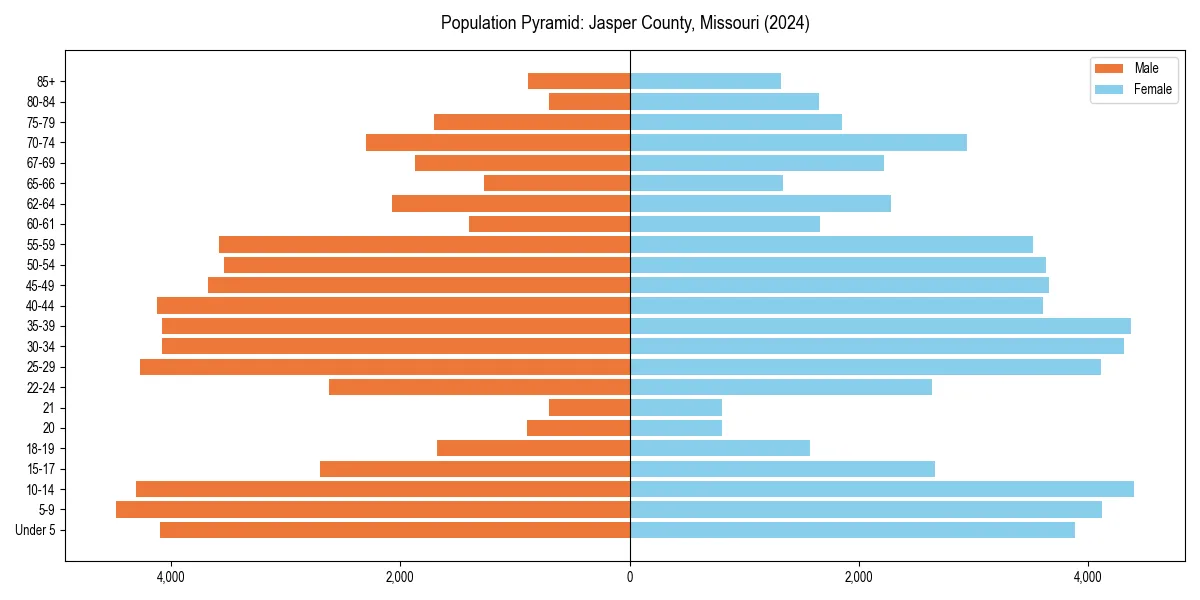 Population pyramid for 