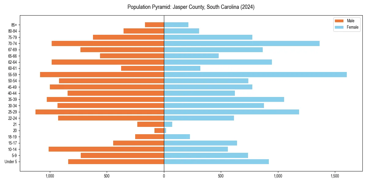 Population pyramid for 