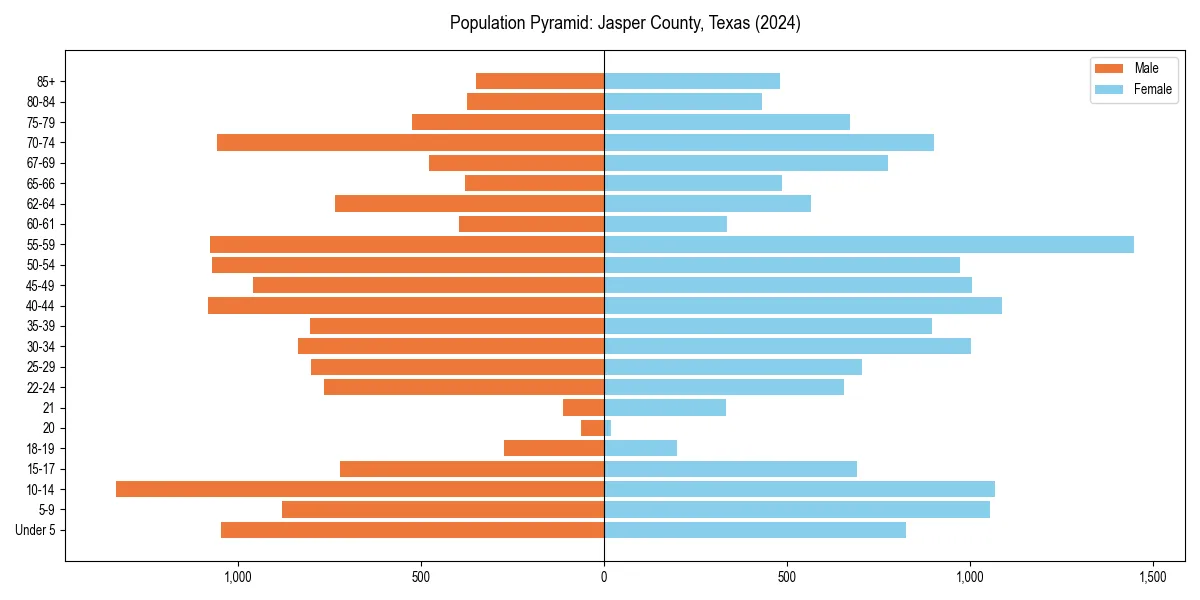 Population pyramid for 