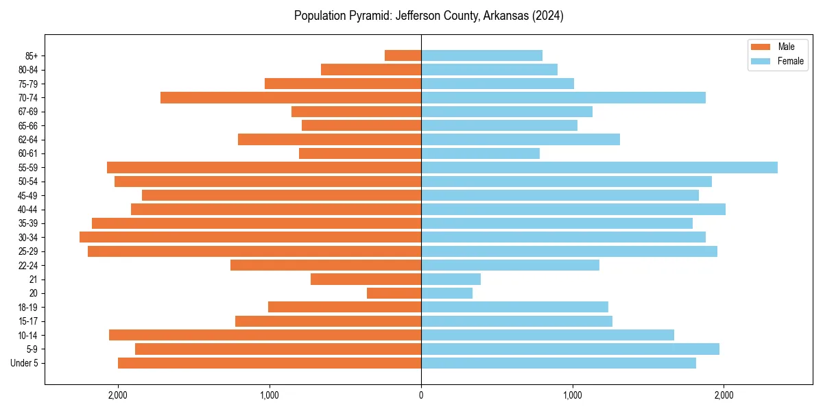 Population pyramid for 