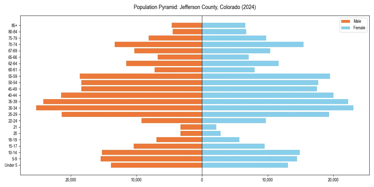 Population pyramid for 