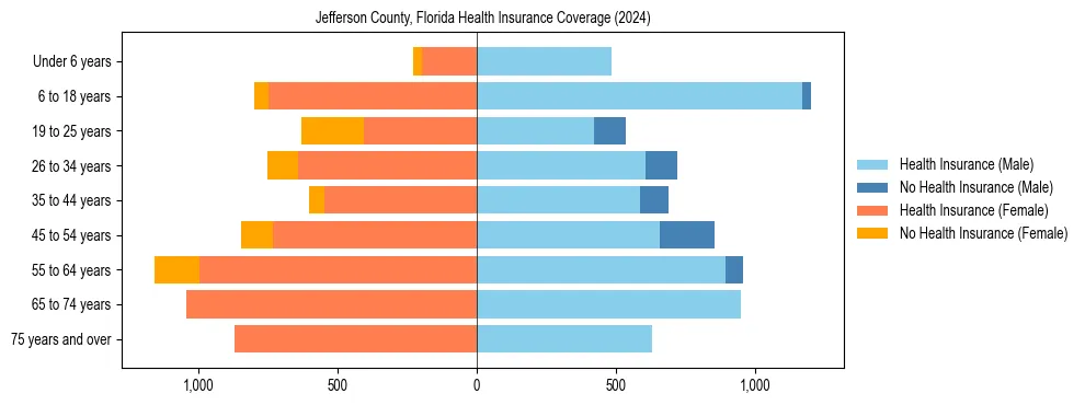 Health insurance pyramid for Jefferson County, Florida