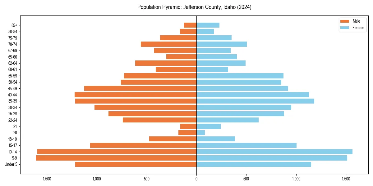Population pyramid for 