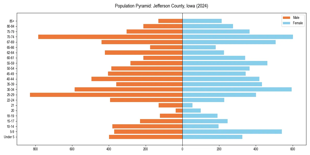 Population pyramid for 