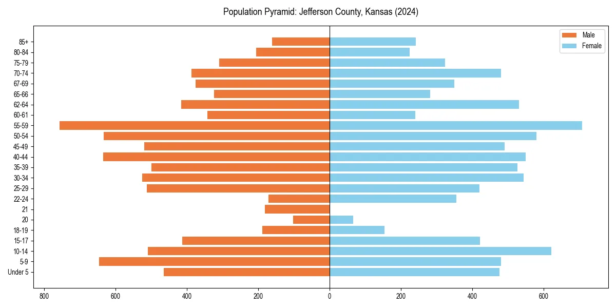 Population pyramid for 