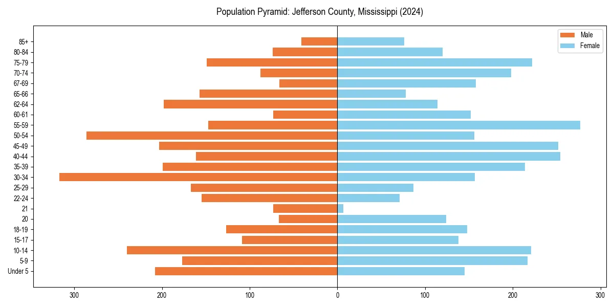 Population pyramid for 