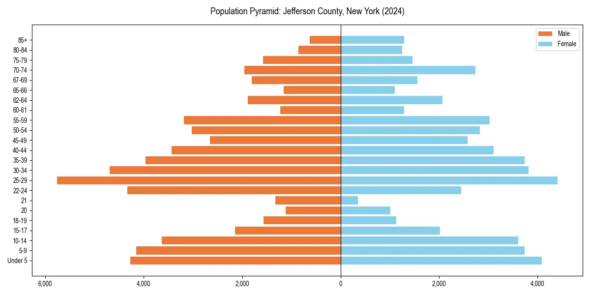 Population pyramid for 