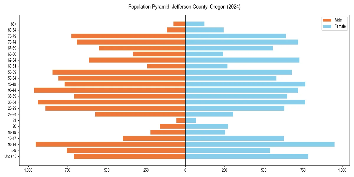 Population pyramid for 