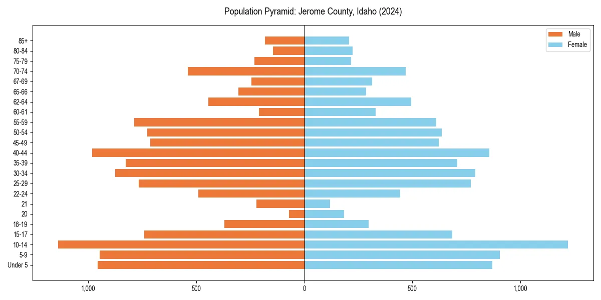Population pyramid for 
