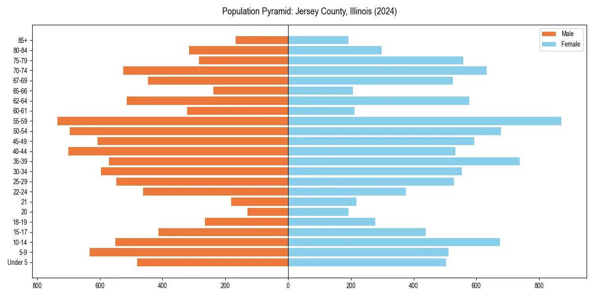 Population pyramid for 