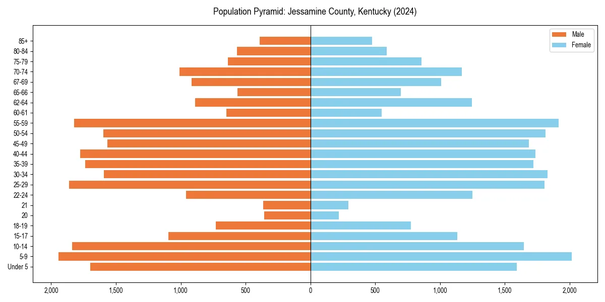 Population pyramid for 