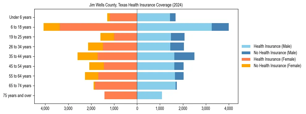 Health insurance pyramid for Jim Wells County, Texas