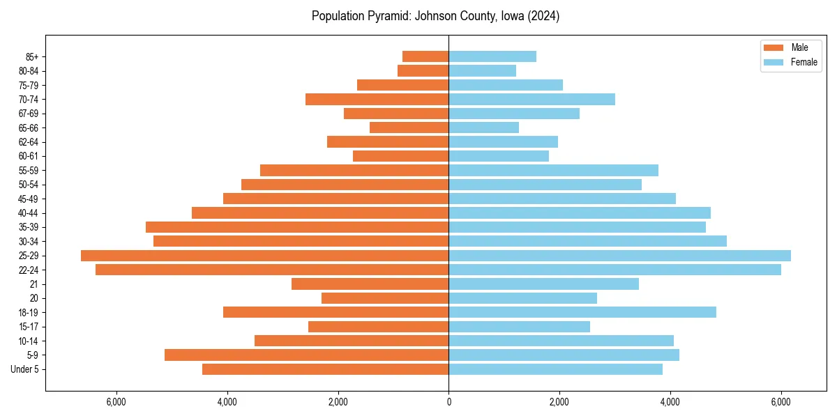 Population pyramid for 