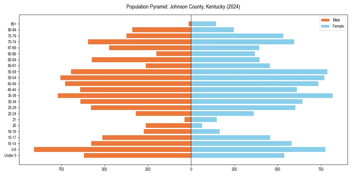 Population pyramid for 