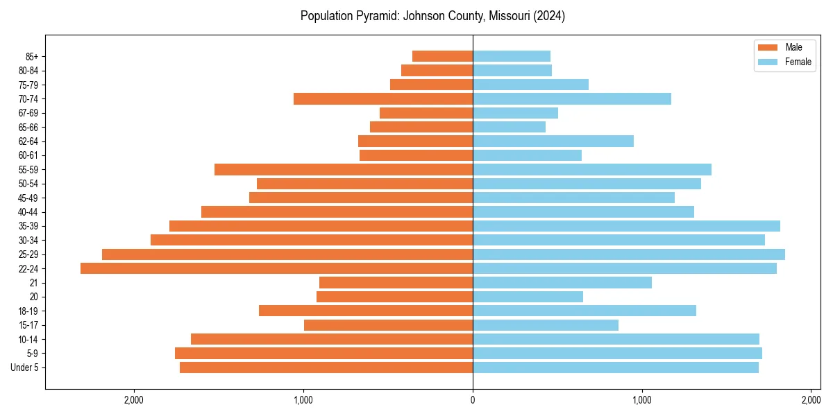 Population pyramid for 