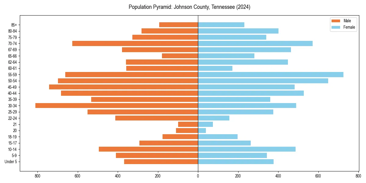 Population pyramid for 