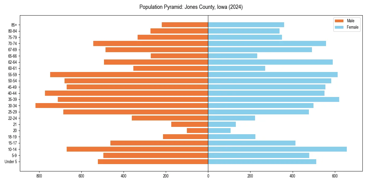 Population pyramid for 