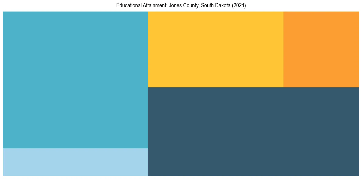 Education Treemap for  in 2024
