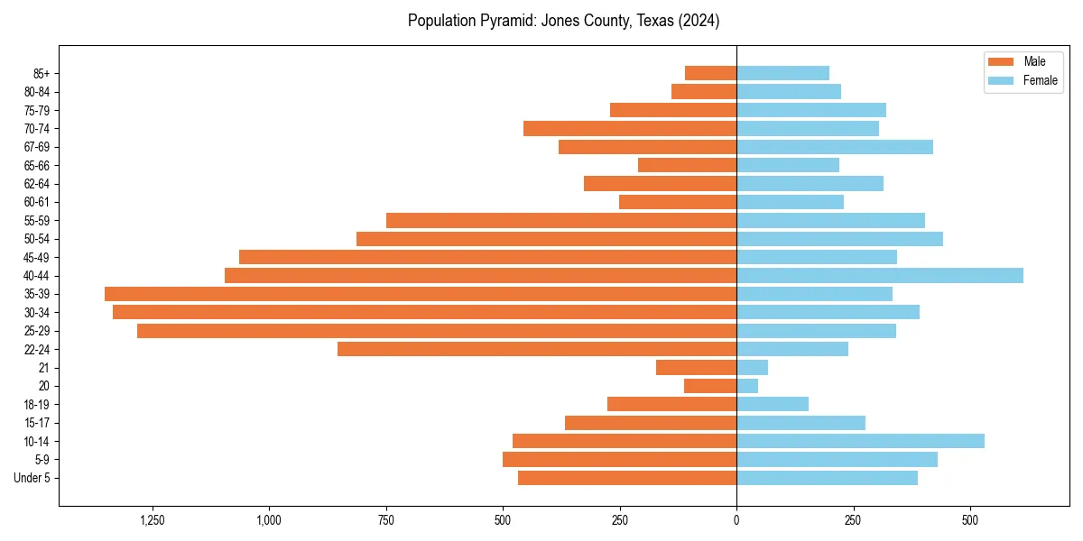 Population pyramid for 