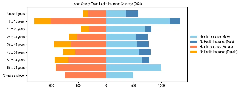 Health insurance pyramid for Jones County, Texas