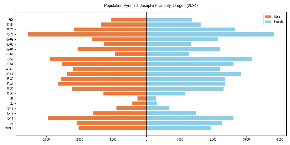 Population pyramid for 