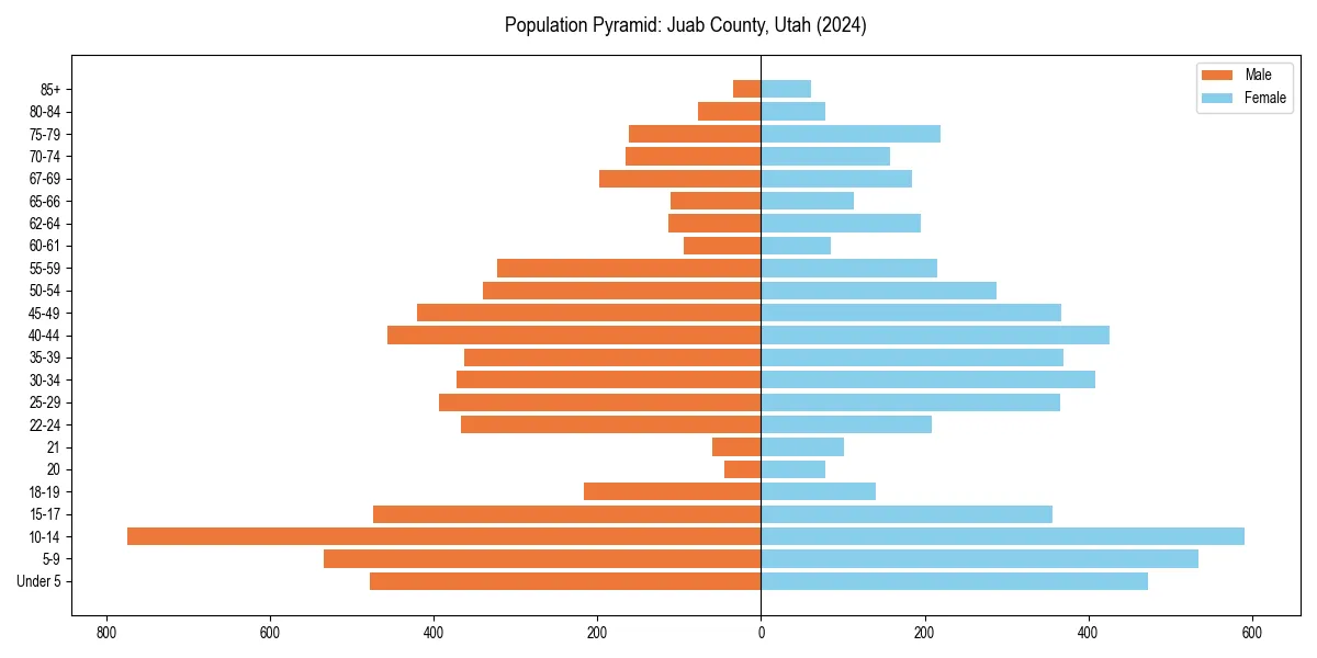 Population pyramid for 