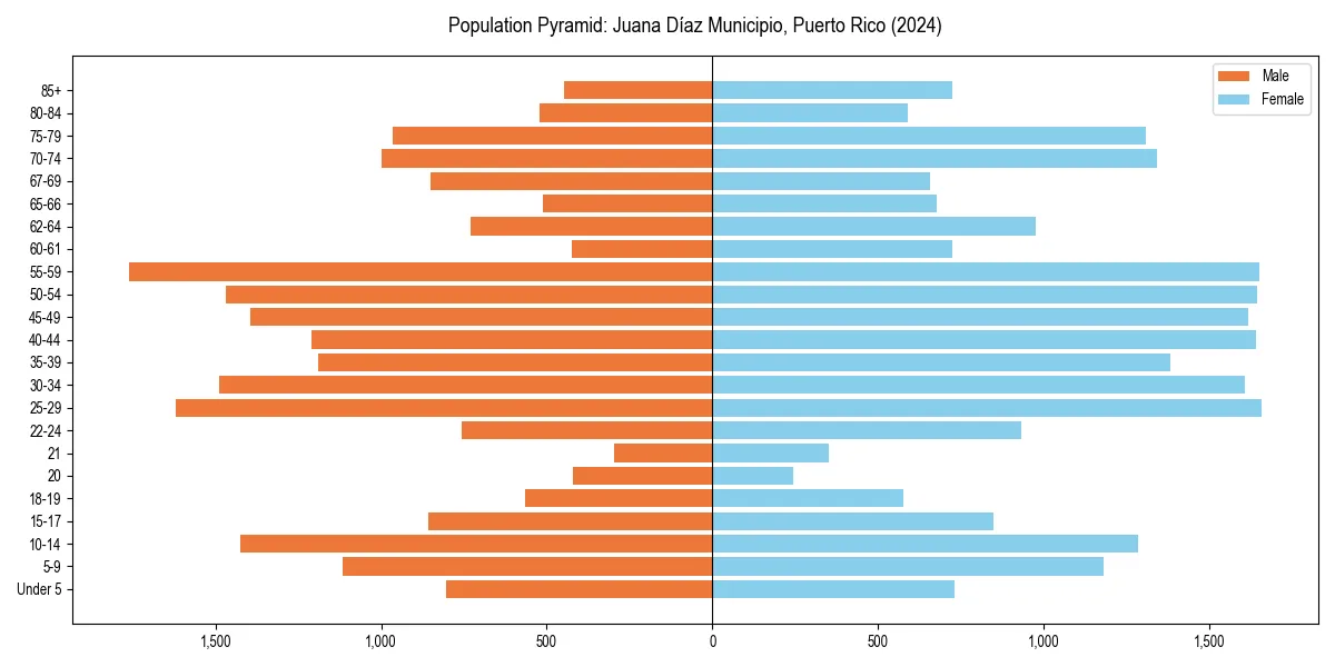 Population pyramid for 