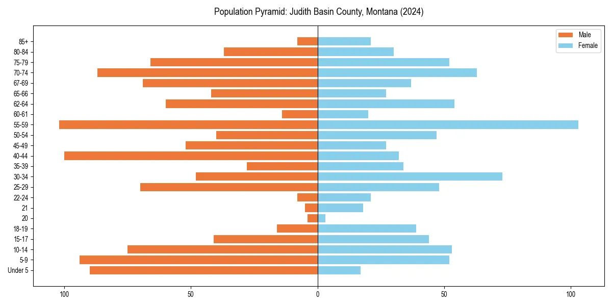 Population pyramid for 