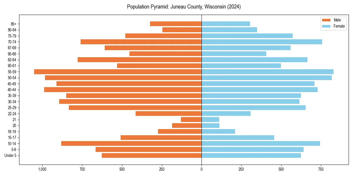 Population pyramid for 