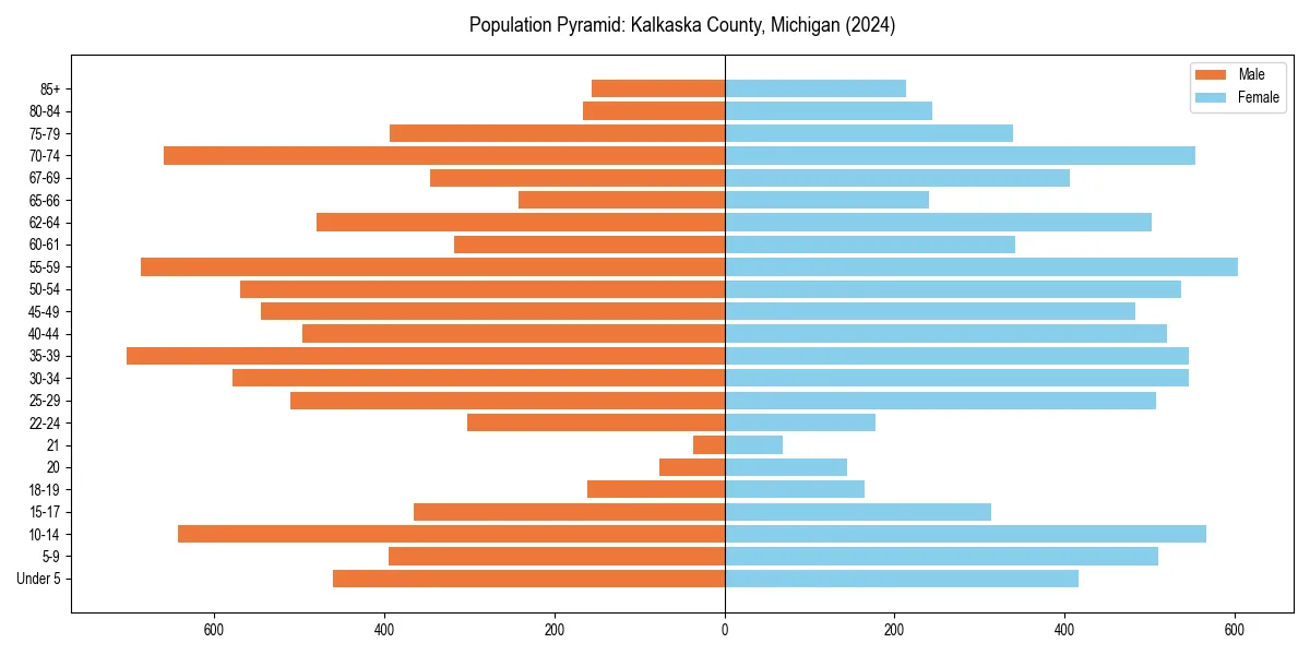 Population pyramid for 