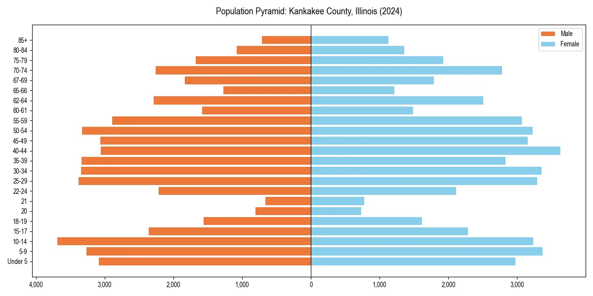 Population pyramid for 