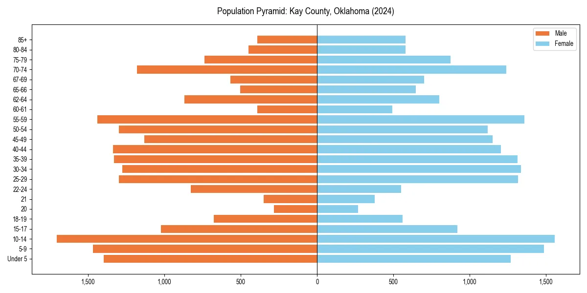 Population pyramid for 