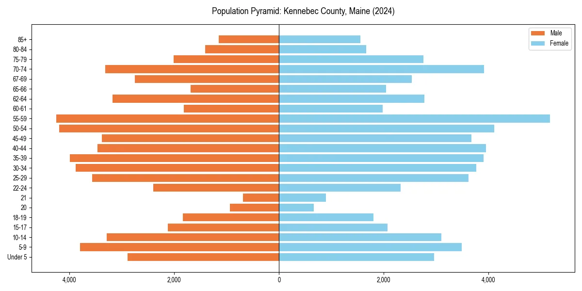 Population pyramid for 