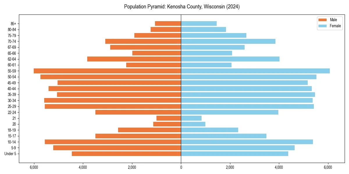 Population pyramid for 