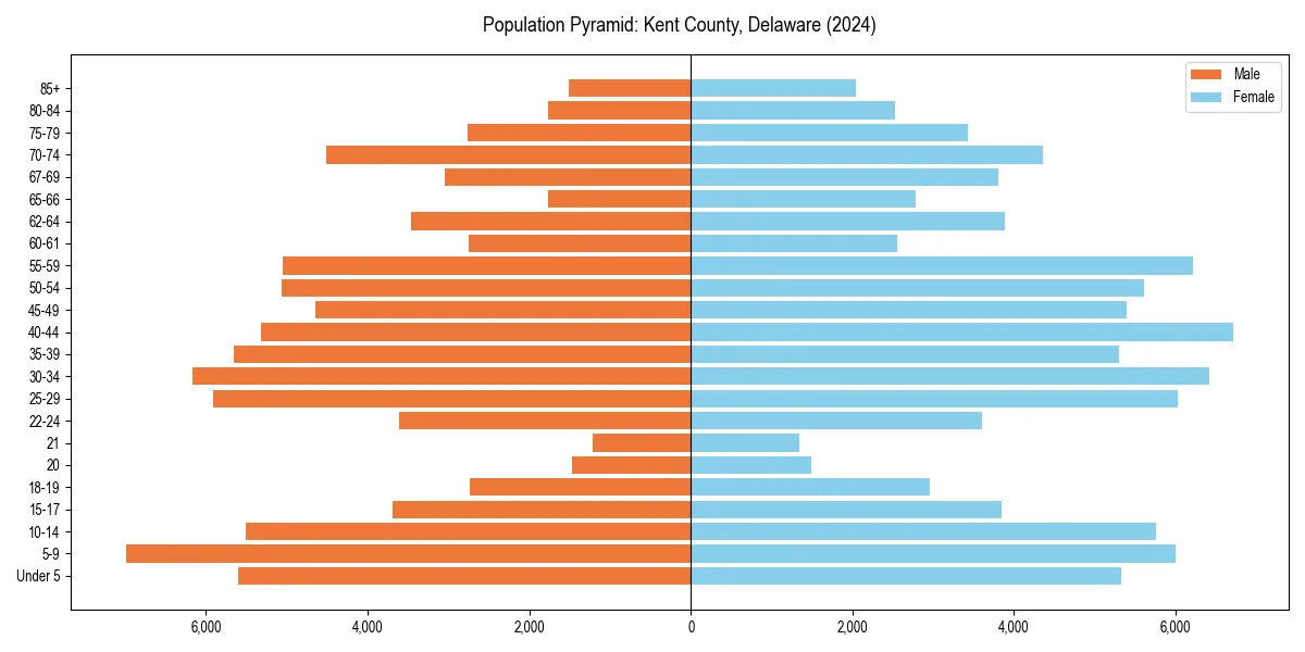 Population pyramid for 