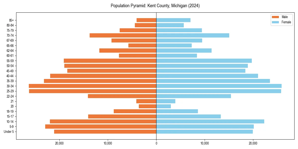Population pyramid for 