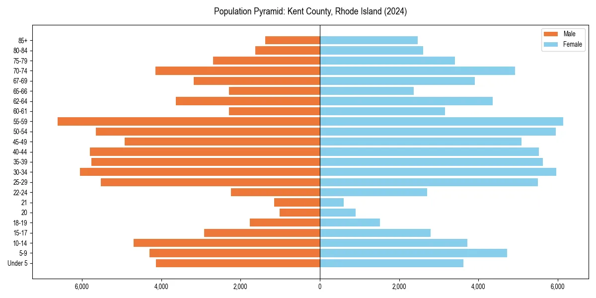 Population pyramid for 
