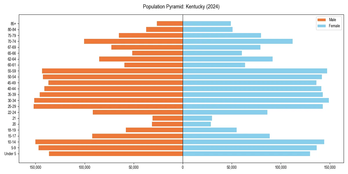 Population pyramid for 