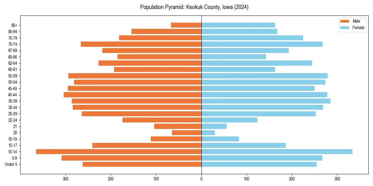 Population pyramid for 